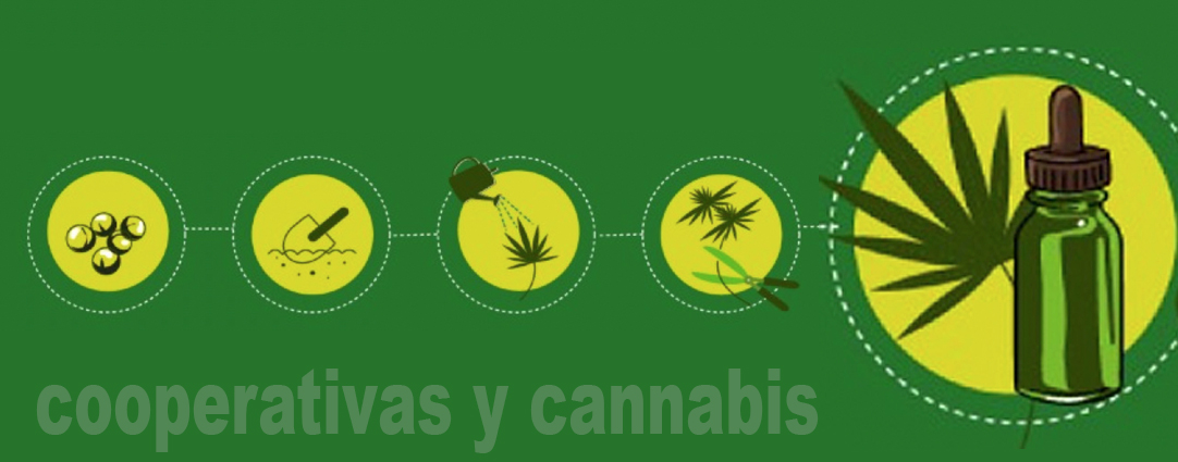 Cooperativas y cannabis